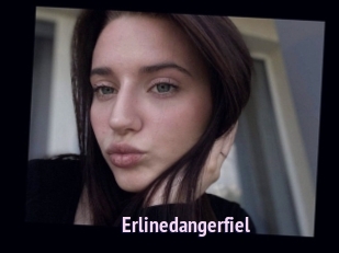 Erlinedangerfiel