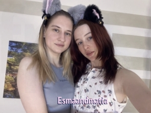 Esmaandmatia