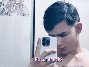 Ethaanbull18