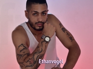 Ethanvogel