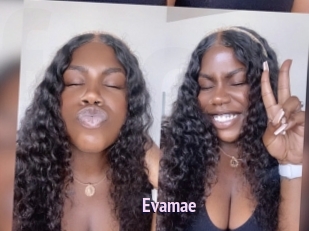 Evamae