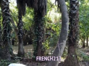 FRENCH213