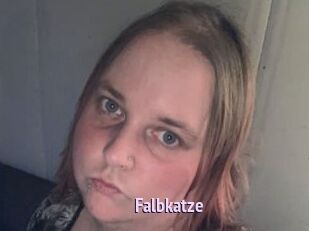 Falbkatze