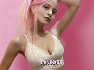 FeNiKs09