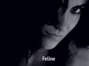 Feline