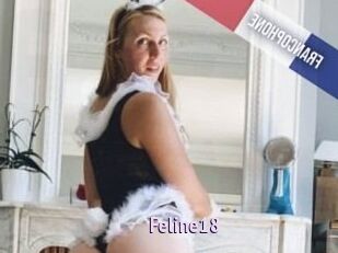 Feline18