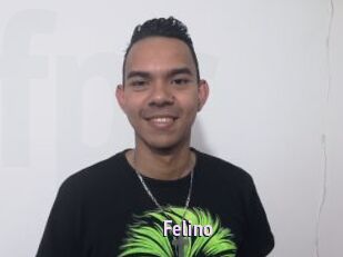 Felino