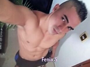 Fenix_S