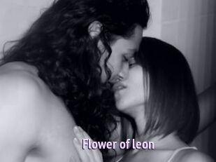 Flower_of_leon