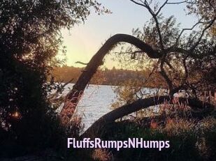 FluffsRumpsNHumps