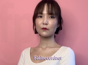 Falinecordner