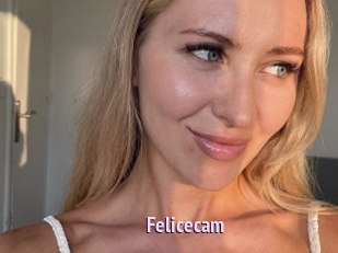 Felicecam