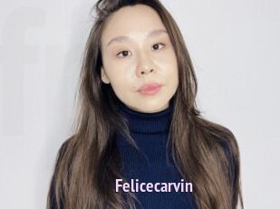Felicecarvin