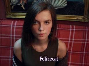 Felicecat