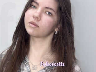 Felicecatts