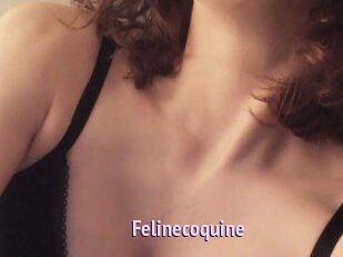 Felinecoquine