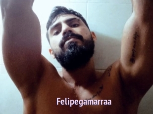 Felipegamarraa