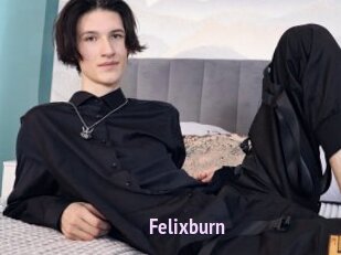 Felixburn