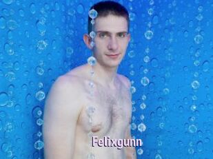 Felixgunn