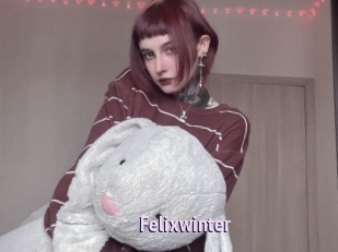 Felixwinter