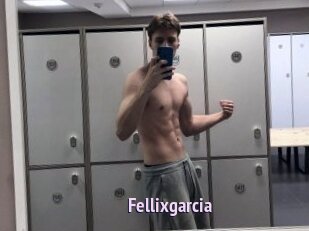 Fellixgarcia