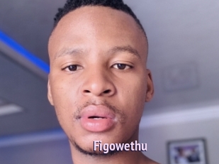 figowethu Film Porno