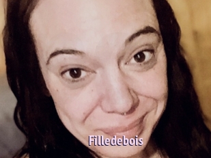 Filledebois