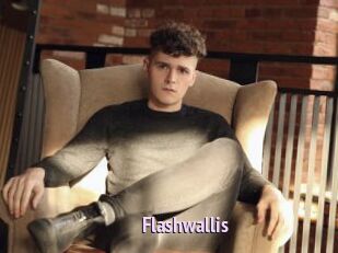 Flashwallis