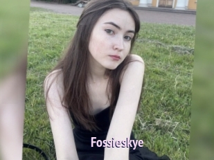 Fossieskye