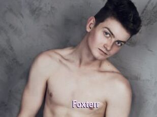 Foxterr