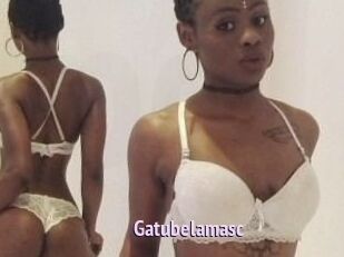 Gatubela_masc