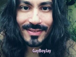 GayBoyJay