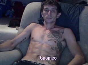 Gnomeo