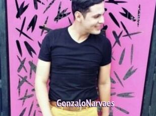 GonzaloNarvaes