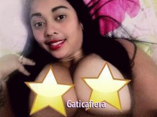 Gaticafiera