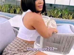Gingerspice202