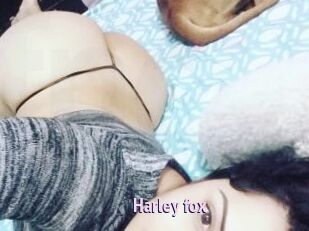 Harley_fox