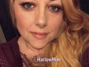Harlow_Mae