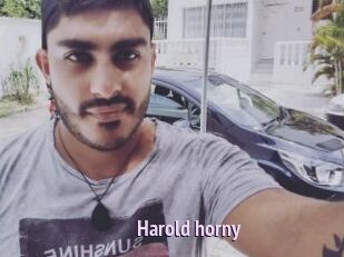 Harold_horny