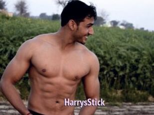 HarrysStick
