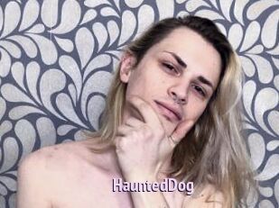HauntedDog