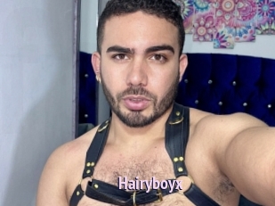 Hairyboyx