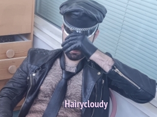 Hairycloudy