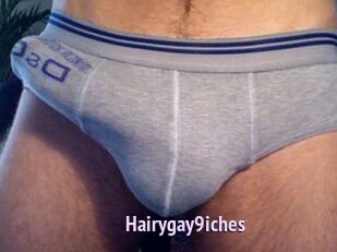 Hairygay9iches