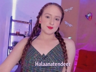 Halaanatendeer
