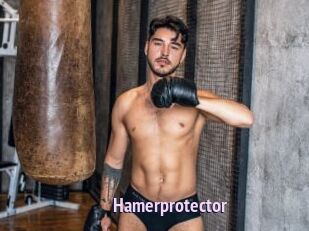 Hamerprotector