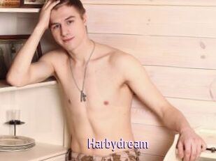 Harbydream