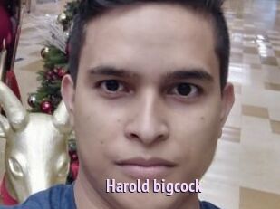 Harold_bigcock