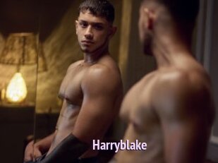 Harryblake