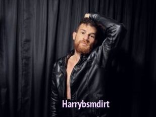 Harrybsmdirt